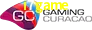 Gaming License